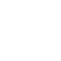 Delfin Logo